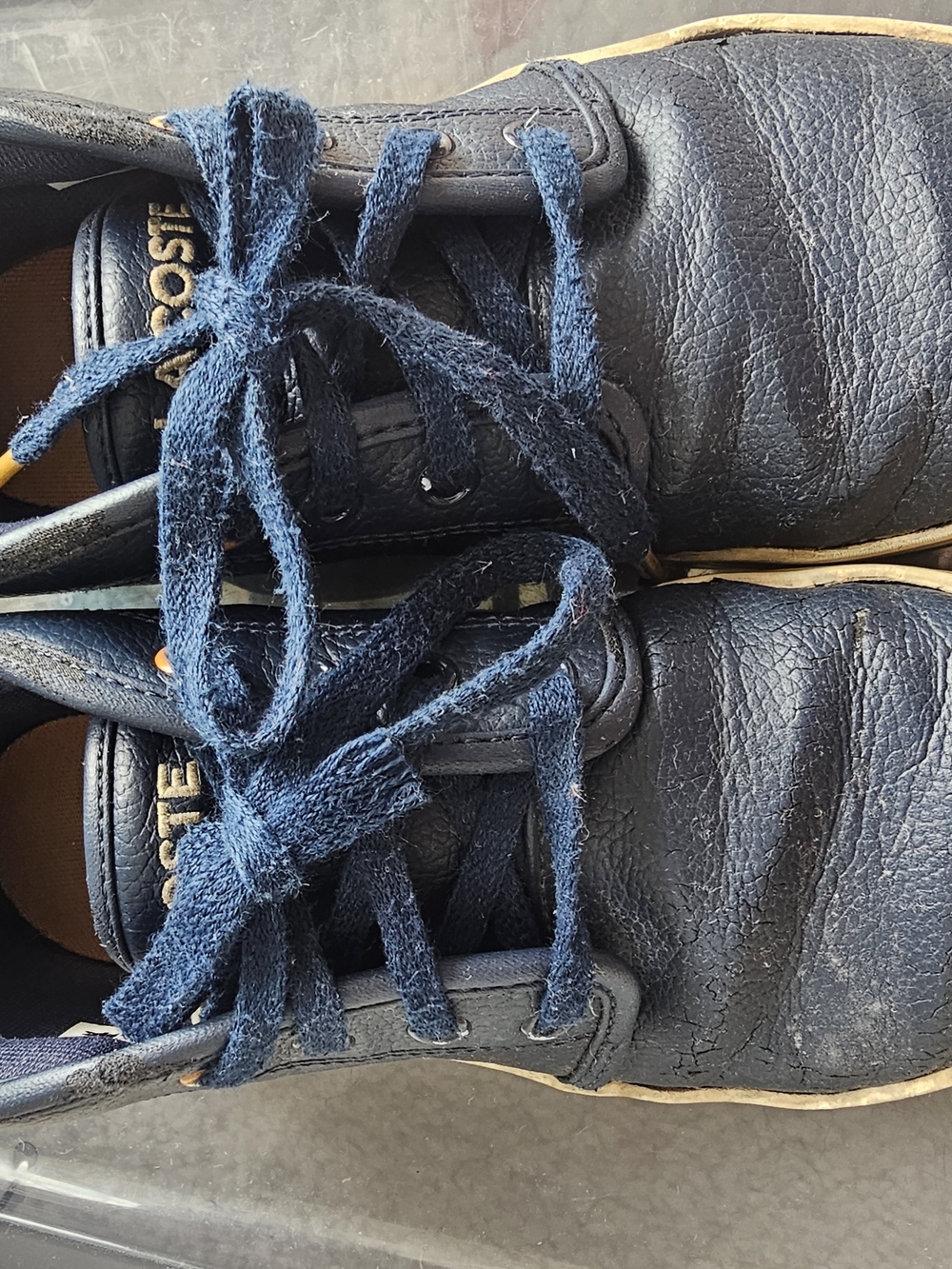 Lacoste Kids Navy Leather Sneaker with Green Croc Patch - Picture 3 of 4